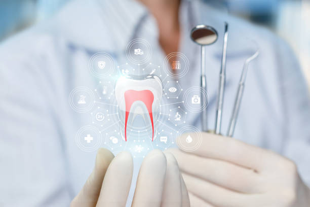 Best Preventive Dentistry  in Cockrell Hill, TX